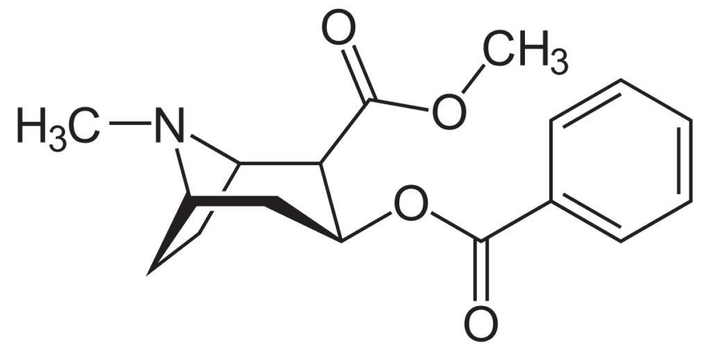Cocaine molecule